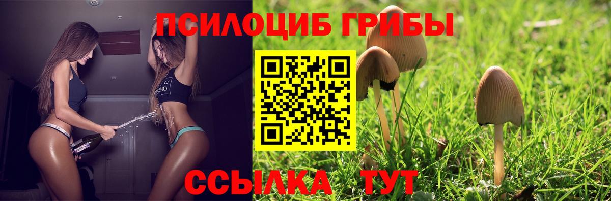 Ижевск  Псилоцибиновые грибы ЛСД  Вход с VPN  Галлюциногенные грибы GOLDEN TEACHER 
